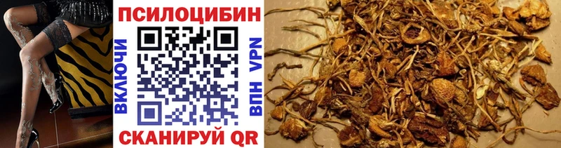 Псилоцибиновые грибы Cubensis  Чулым 
